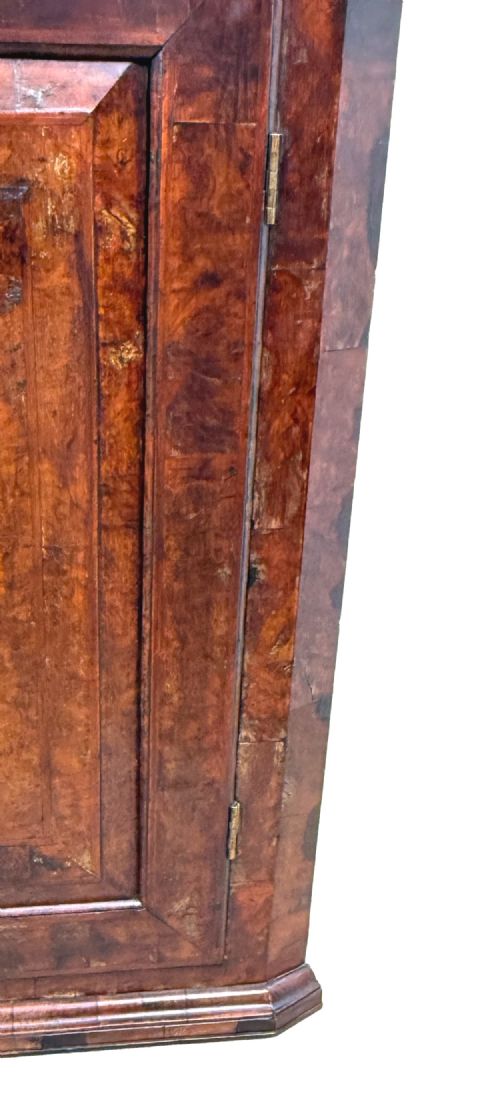 QUEEN ANNE BURR WALNUT HANGING CORNER CUPBOARD - ADDITIONAL PHOTO 8
