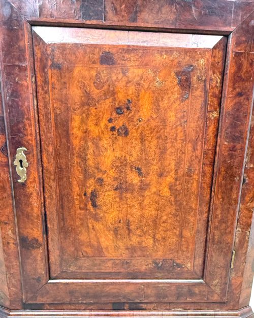QUEEN ANNE BURR WALNUT HANGING CORNER CUPBOARD - ADDITIONAL PHOTO 9