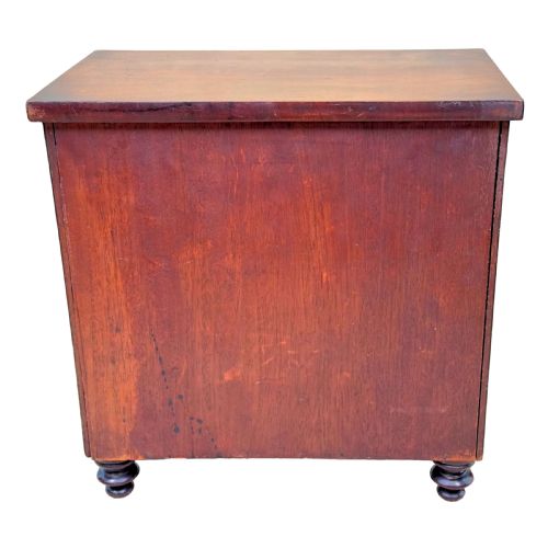 REGENCY MAHOGANY MINIATURE TABLE CABINET - ADDITIONAL PHOTO 8