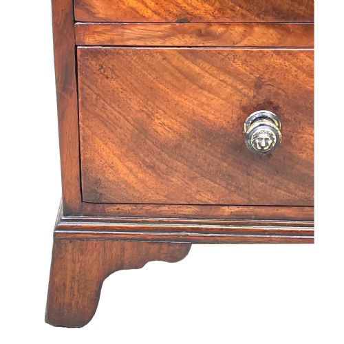 GEORGIAN MAHOGANY MINIATURE CHEST - ADDITIONAL PHOTO 1