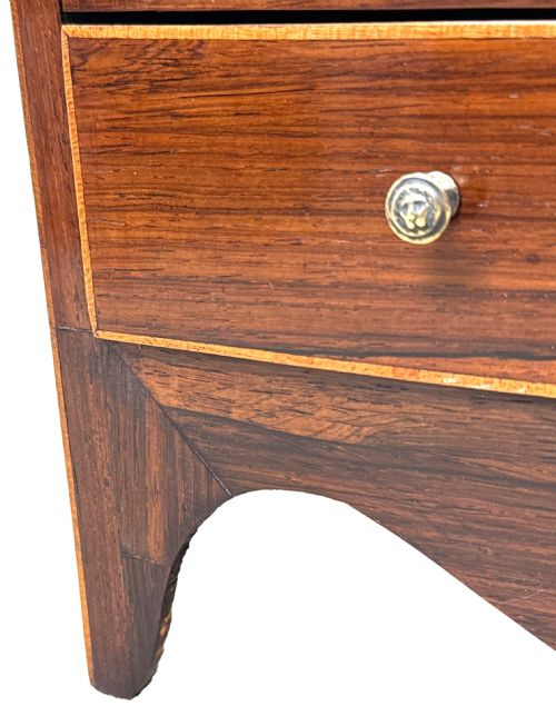 GEORGIAN ROSEWOOD MINIATURE CHEST OF DRAWERS - ADDITIONAL PHOTO 2