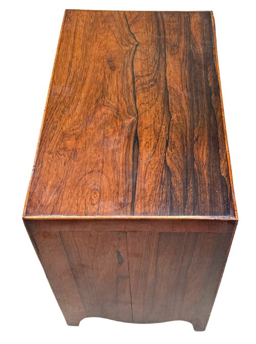 GEORGIAN ROSEWOOD MINIATURE CHEST OF DRAWERS - ADDITIONAL PHOTO 4