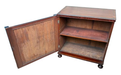 PAIR OF SMALL REGENCY MAHOGANY SIDE CUPBOARDS - ADDITIONAL PHOTO 9