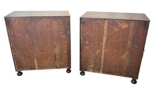 PAIR OF SMALL REGENCY MAHOGANY SIDE CUPBOARDS - ADDITIONAL PHOTO 12