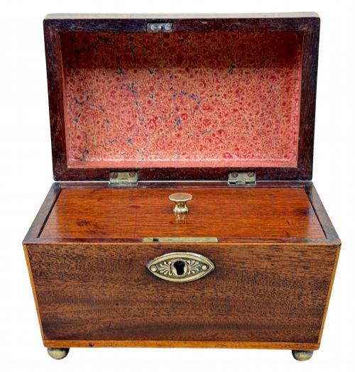 GEORGIAN 18TH CENTURY MAHOGANY SARCOPHAGUS SHAPED TEA CADDY - ADDITIONAL PHOTO 2
