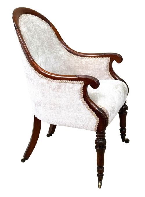 fig 2. A 19th-century English Regency mahogany tub armchair with cream upholstery, scrolled armrests, turned legs, and brass castors.