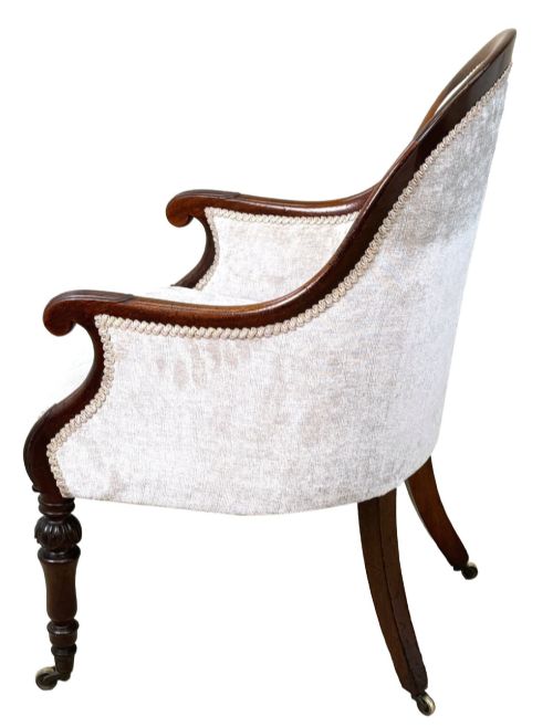fig 4. A 19th-century English Regency mahogany tub armchair with cream upholstery, scrolled armrests, turned legs, and brass castors.