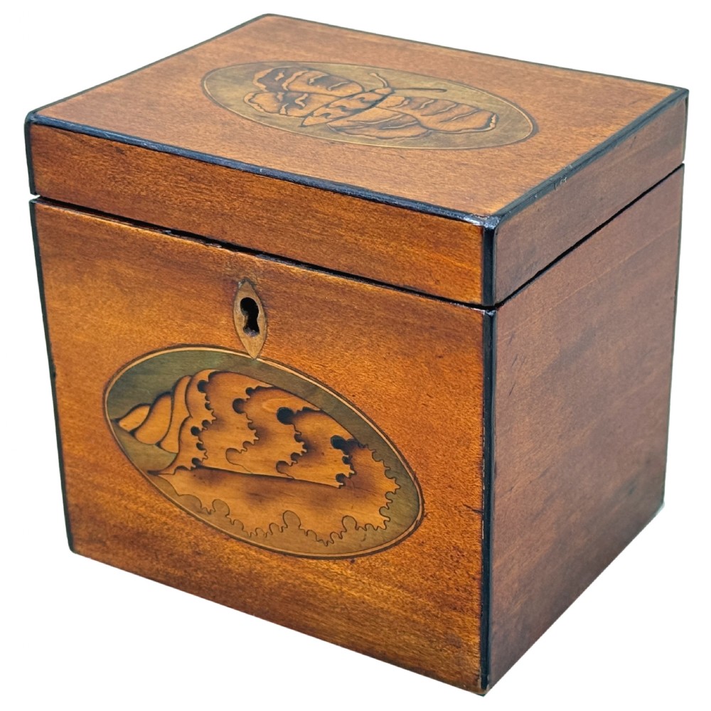 An 18th-century rectangular satinwood tea caddy featuring an oval butterfly marquetry inlay on the lid and a shell motif on the front face. View II