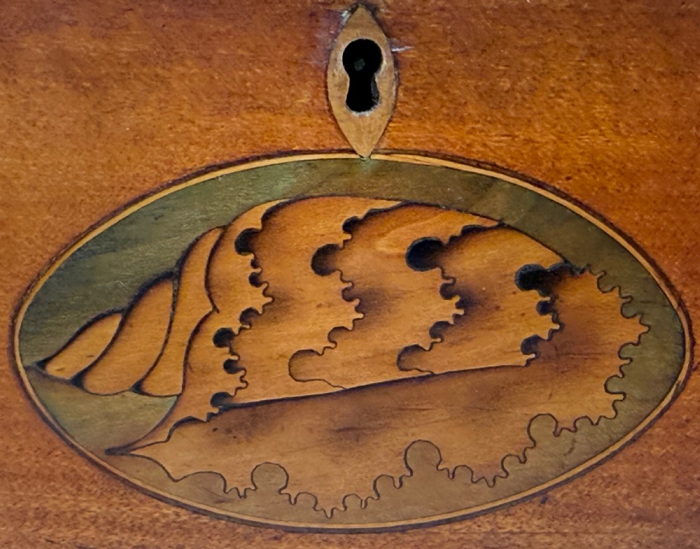 An 18th-century rectangular satinwood tea caddy featuring an oval butterfly marquetry inlay on the lid and a shell motif on the front face. View V