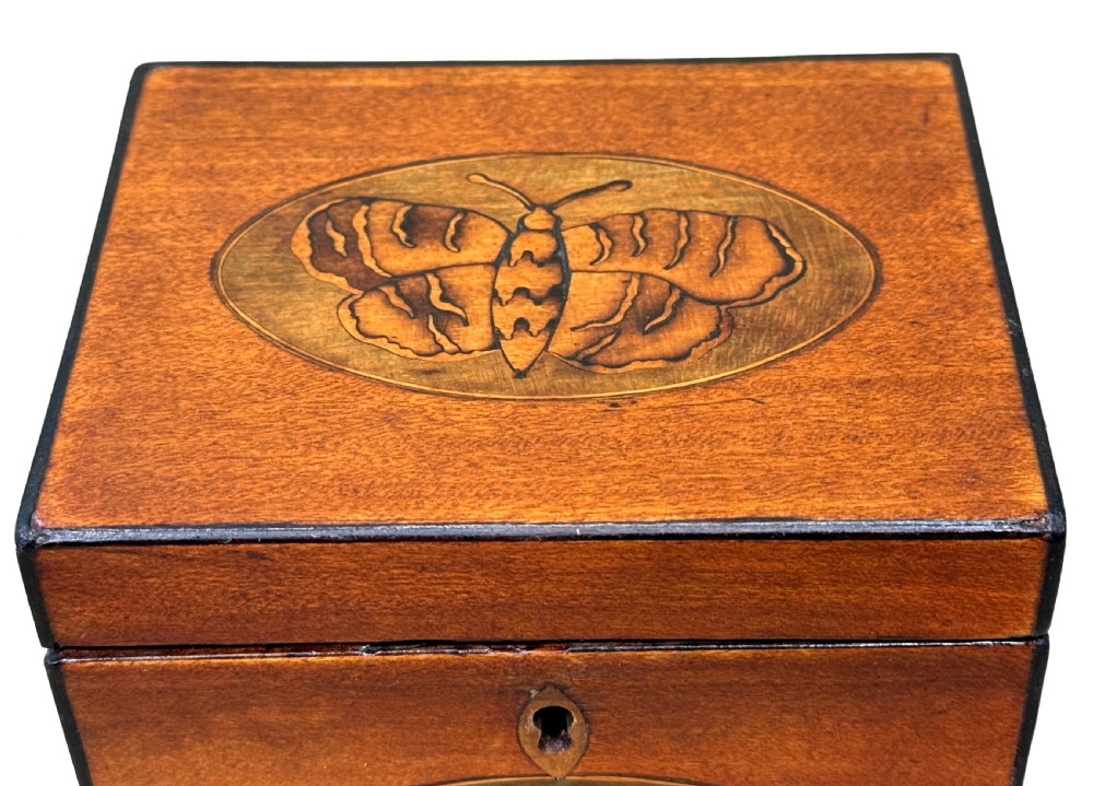An 18th-century rectangular satinwood tea caddy featuring an oval butterfly marquetry inlay on the lid and a shell motif on the front face. View VII