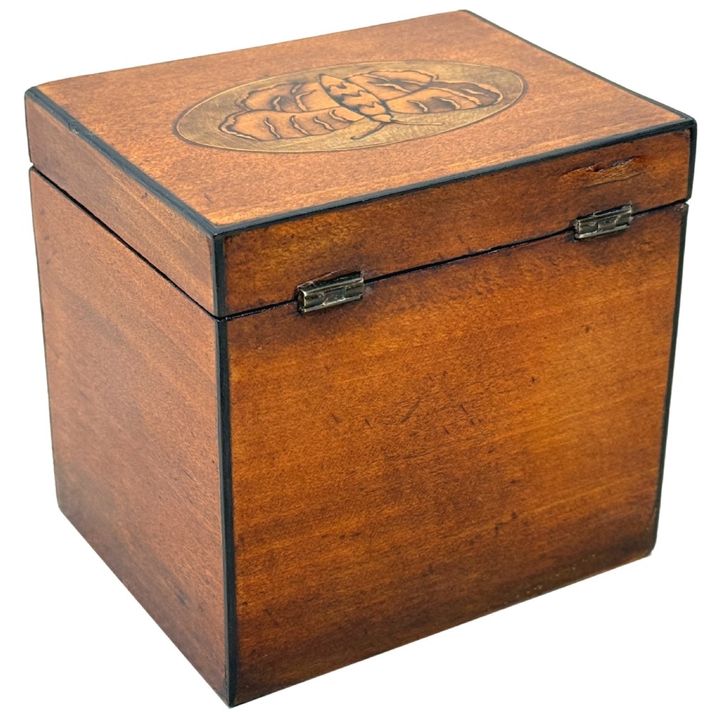 An 18th-century rectangular satinwood tea caddy featuring an oval butterfly marquetry inlay on the lid and a shell motif on the front face. View X