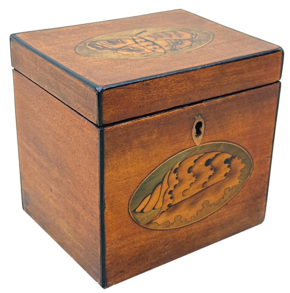 An 18th-century rectangular satinwood tea caddy featuring an oval butterfly marquetry inlay on the lid and a shell motif on the front face. View XI