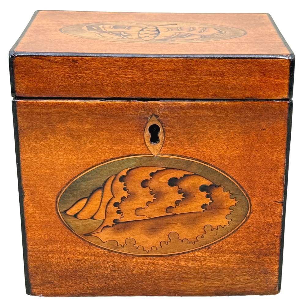 An 18th-century rectangular satinwood tea caddy featuring an oval butterfly marquetry inlay on the lid and a shell motif on the front face. View XII