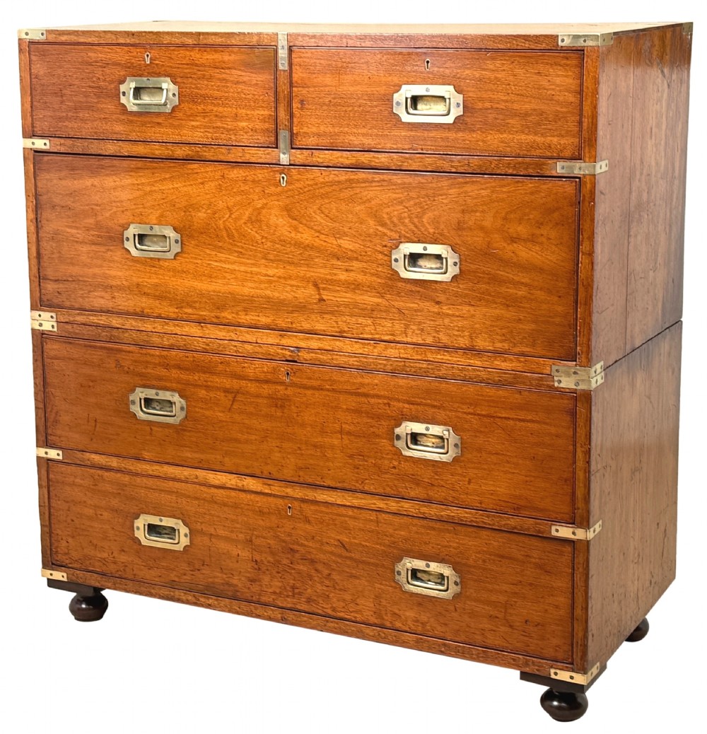 A nineteenth-century camphor wood military campaign chest of drawers featuring flush brass handles, corner brackets, and turned bun feet.