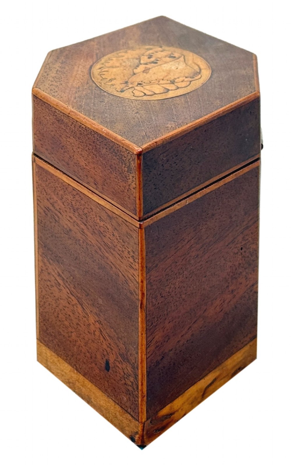 An 18th-century Georgian hexagonal mahogany tea caddy with line inlay and a shell medallion on the lid. View II