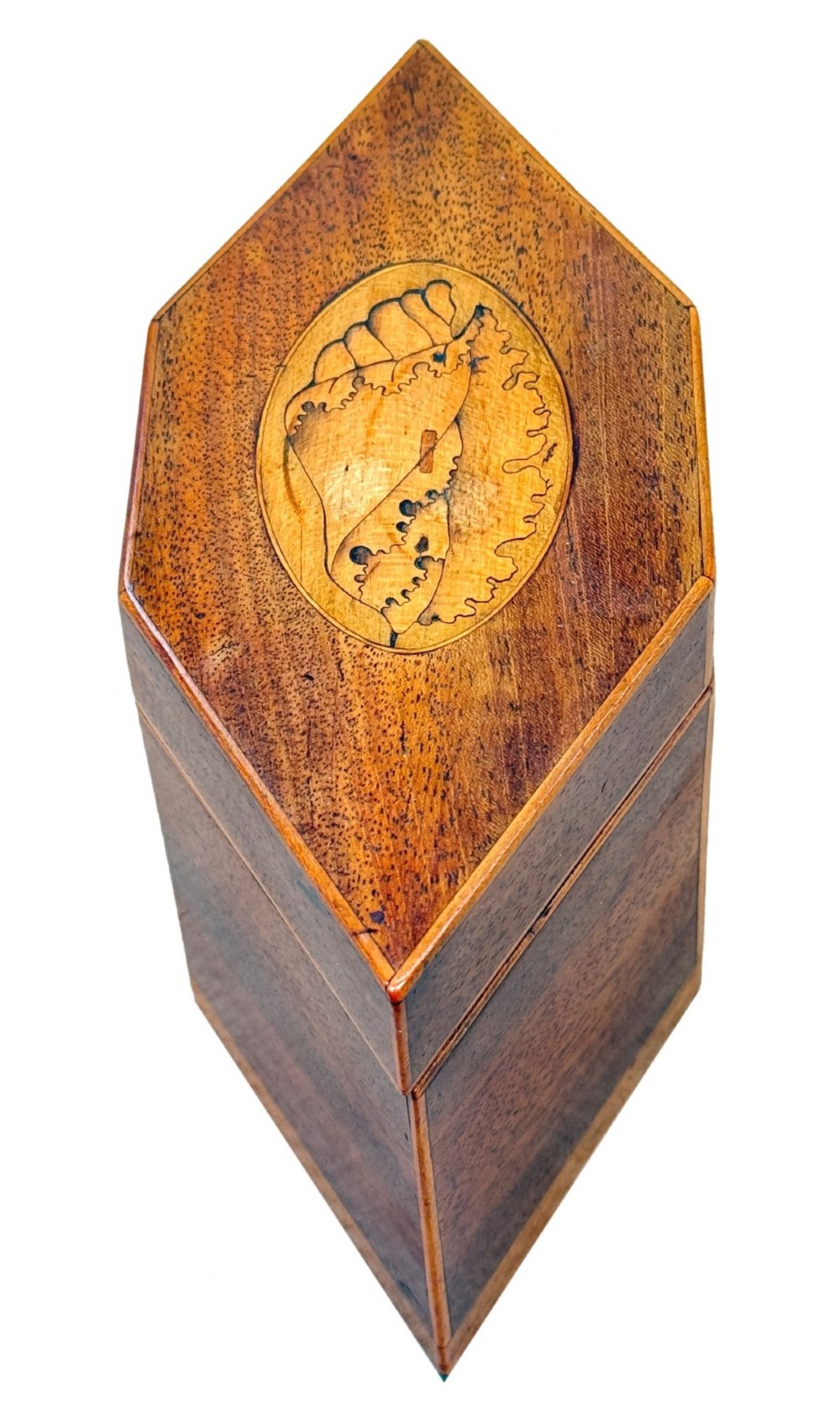 An 18th-century Georgian hexagonal mahogany tea caddy with line inlay and a shell medallion on the lid. View V
