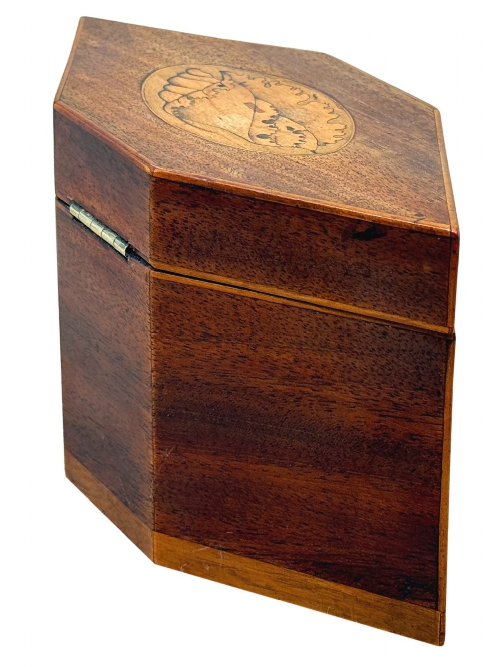 An 18th-century Georgian hexagonal mahogany tea caddy with line inlay and a shell medallion on the lid. View VI