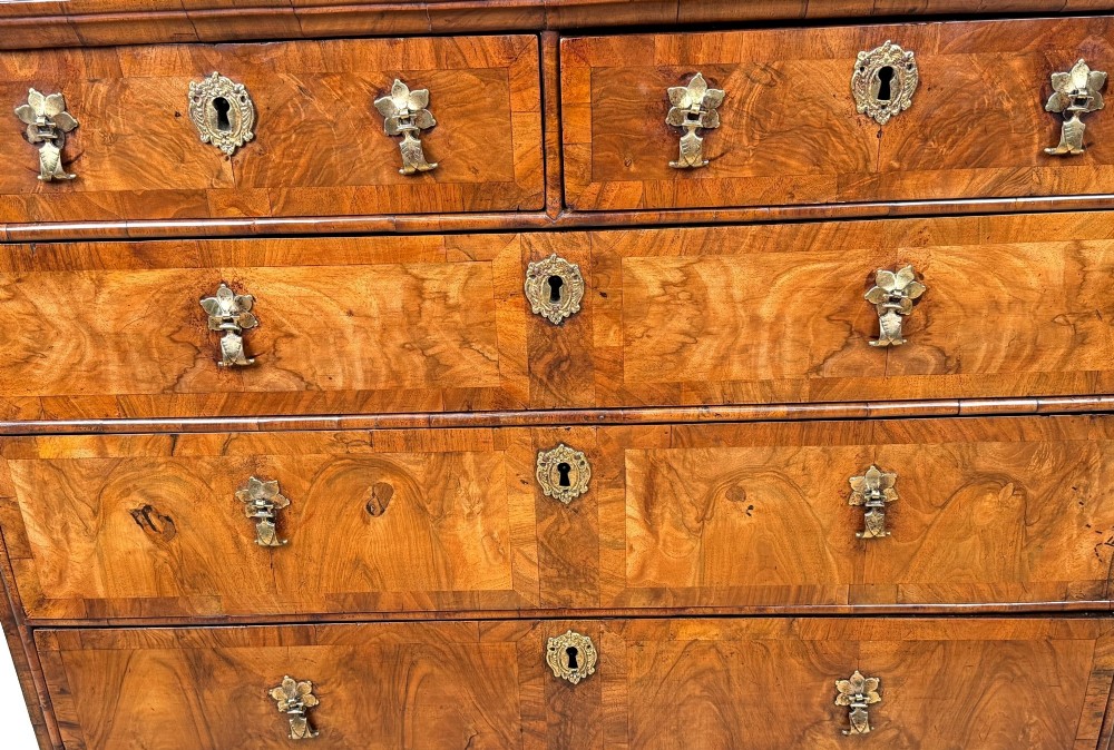 An early 18th-century Queen Anne walnut chest of drawers featuring figured grain veneers, brass drop handles, and turned bun feet. View IV