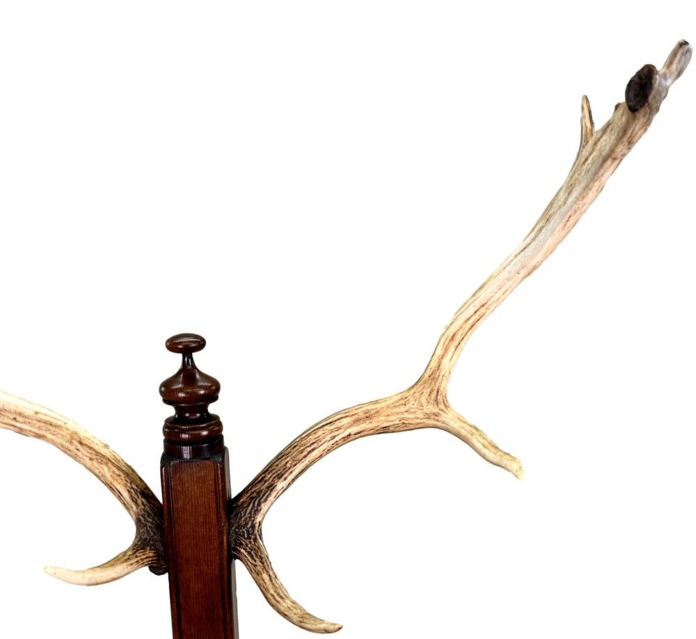 A 19th-century dark walnut hall stand featuring a central turned column mounted with stag antler hooks and a circular dish base. View V