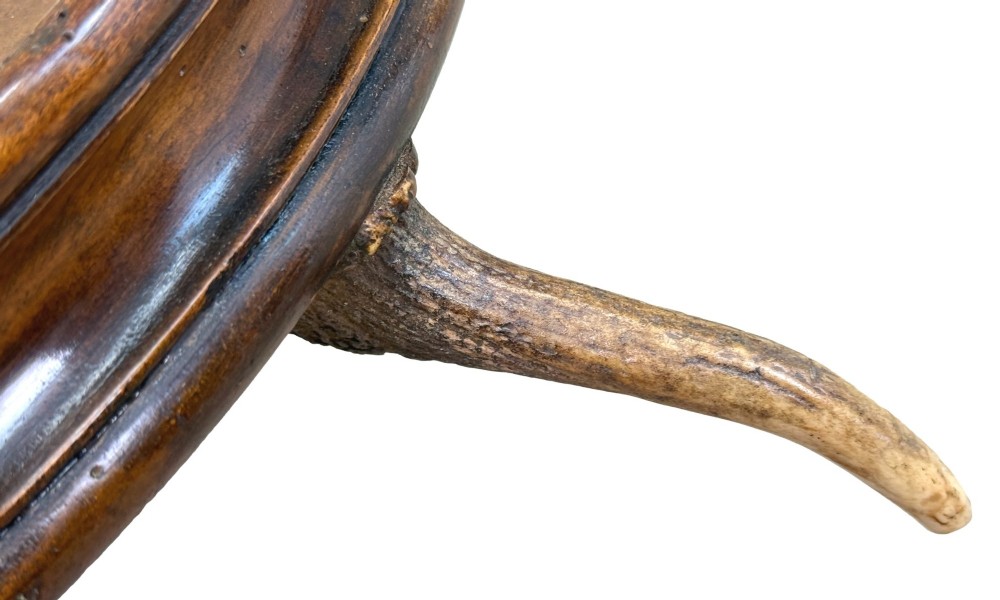 A 19th-century dark walnut hall stand featuring a central turned column mounted with stag antler hooks and a circular dish base. View X