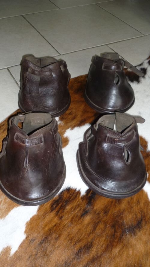 Rare Victorian Leather Lawn Horse Shoes