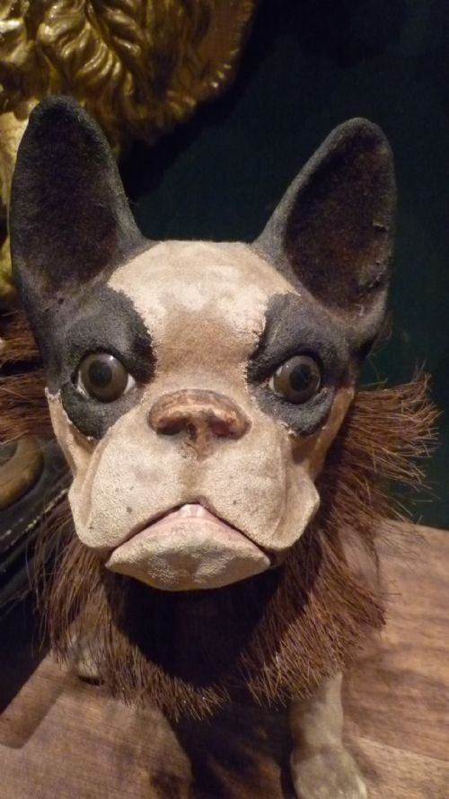 Antique Papier Mache French Bulldog Boston Terrier Dog