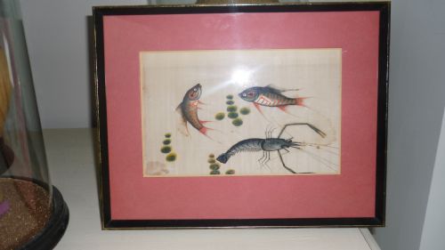 19th Century Chinese Watercolour Rice Paper Pith Paper Painting Fish