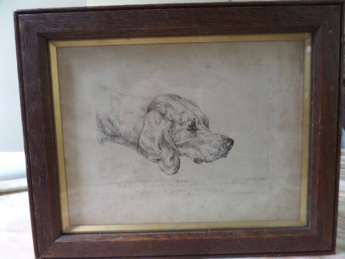 Etching John Frederick Lewis 'Rattler' Hi Majesty Favourite Staghound