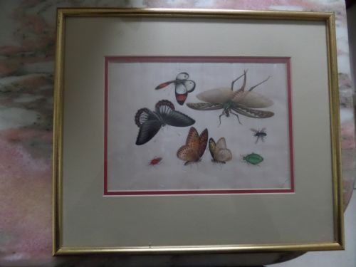 Antique Chinese Rice Pith Paper Painting Butterflies & Bugs