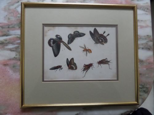 Antique Chinese Rice Paper Painting of Butterflies and Bugs