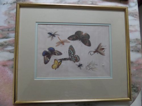Antique Chinese Rice Pith Paper Painting Butterflies & Moths