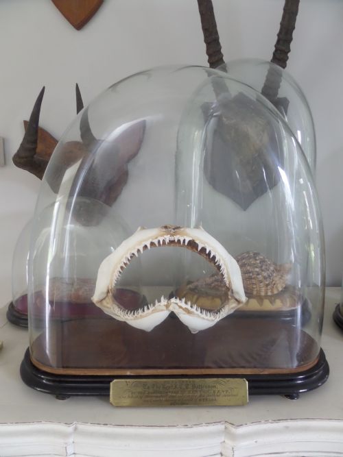 Large Victorian Glass Dome