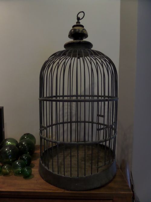 Large 19th Century Bird Parrot Bronze Cage Taxidermy