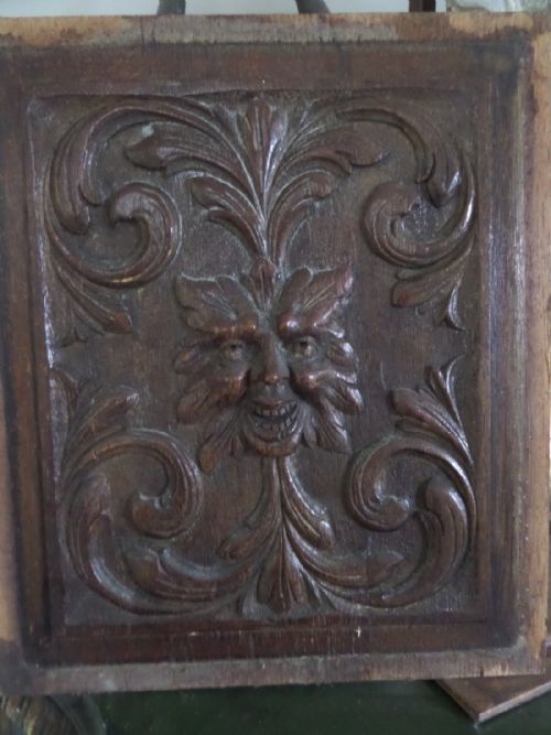 Large Victorian Carved Oak Mask Face Panel Green Man Gothic