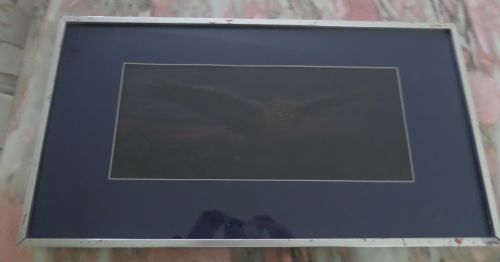 19th Century Painting Signed by John Trivett Nettleship and Dated 1892 Eagle Owl
