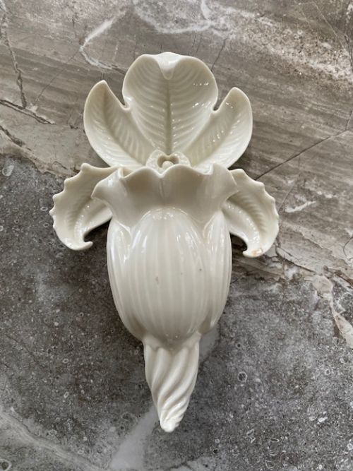 19th Century Royal Worcester Orchid Wall Pocket