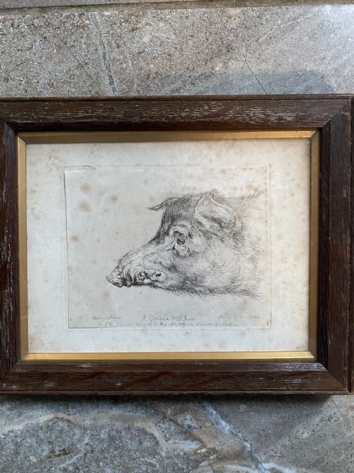 19th Century Etching by John Frederick Lewis His Majesty Wild Boar