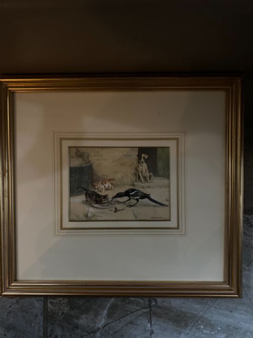 Rare 19th Century Watercolour Dog and Cats Painting S T Dadd