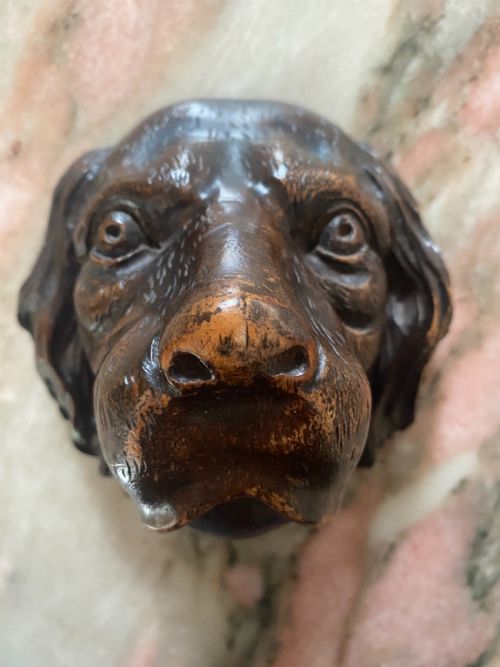 19th Century Walnut Black Forest Hunting Dog Head