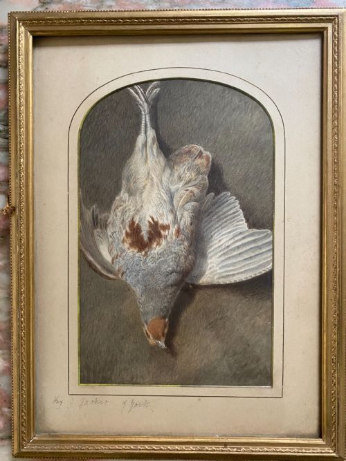 19th Century Fine Still Life Watercolour of a Partridge Bird .