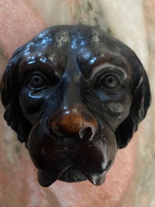 Large 19th Century Carved Walnut Black Forest Dog Head