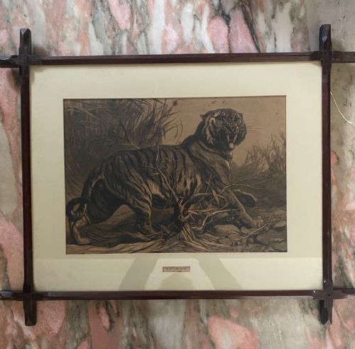 George Bouverie Goddard Tiger at Bay Etching Oak Gothic Frame