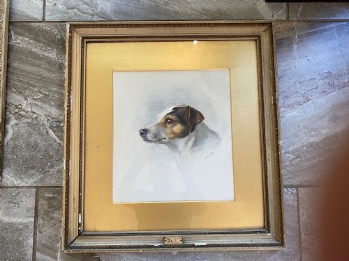 19th Century Watercolour Painting of a Jack Russell Dog Named Bill Signed K Barnard