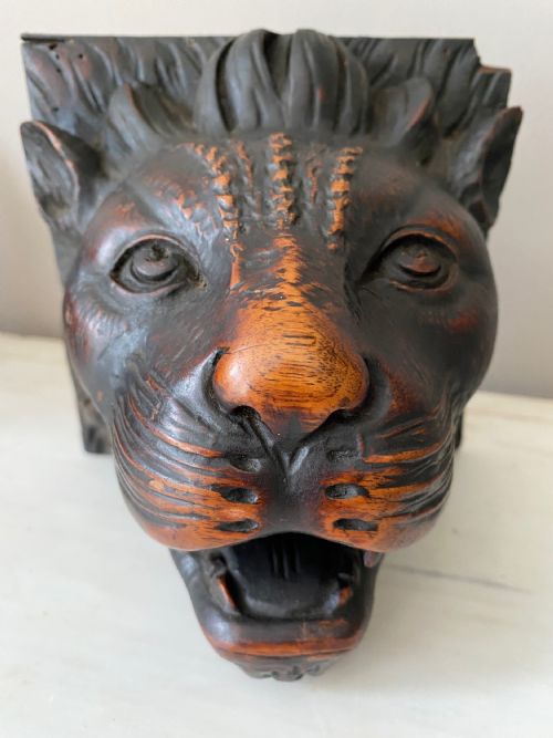 19TH CENTURY CARVED WALNUT BLACK FOREST TIGER HEAD - ADDITIONAL PHOTO 1