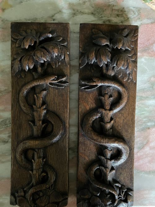19th Century Carved Oak Snake and Palm Tree Panels