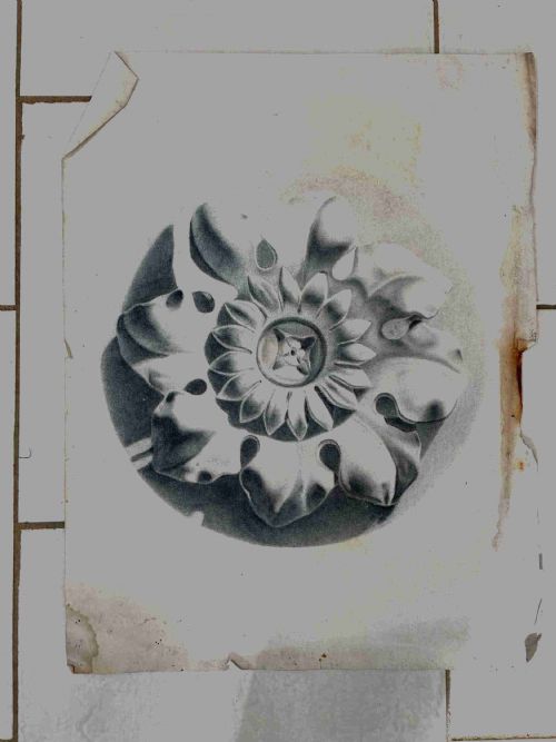 19th Century Drawing Architectural Tudor Rose Moulding