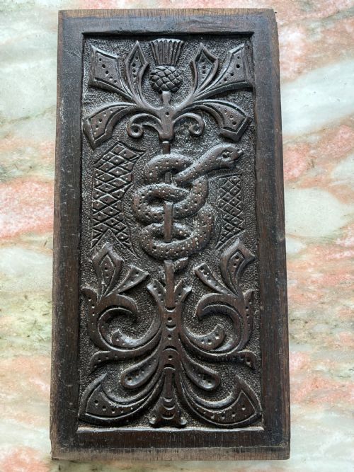 18th Century Mythical Carved Oak Panel Rod of Asclepius