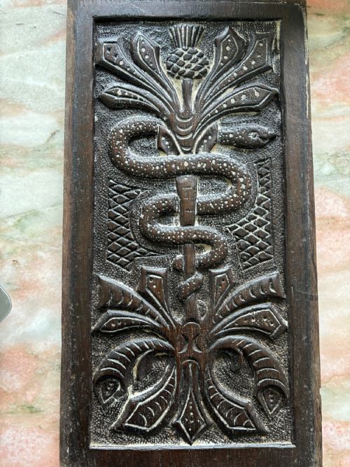18th Century Mythical Gothic Carved Oak Panel Rod of Asclepius