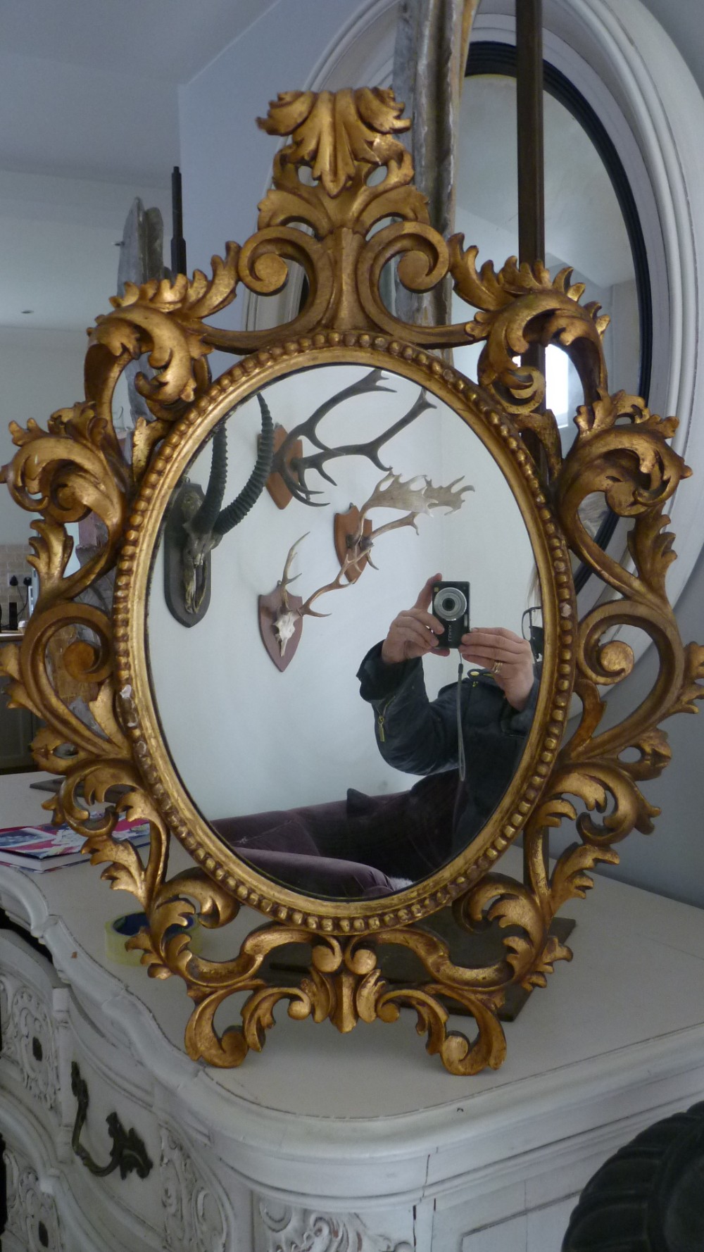 Antique 19th Century Carved Wooden Giltwood Florentine Italian Mirror