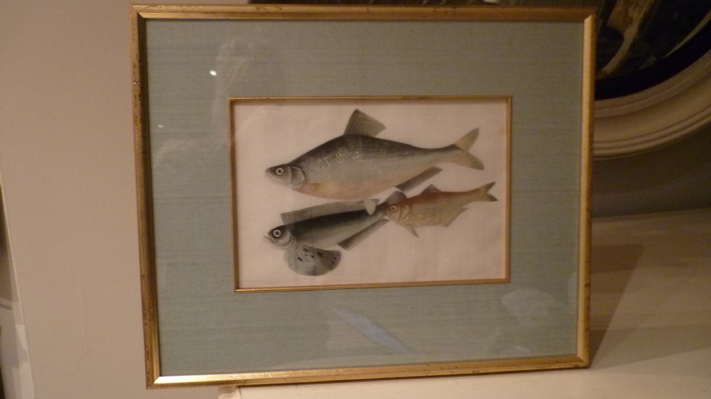 STUNNING Antique Rice Paper Pith Paper Fish Painting 